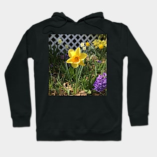 Yellow and Orange Daffodil With Friends Hoodie